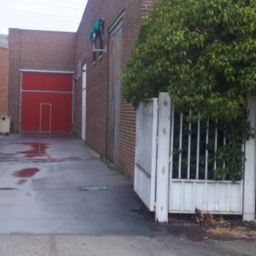 entrada mini