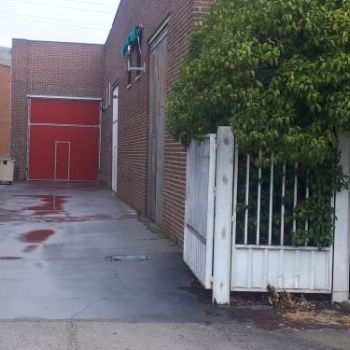 entrada mini