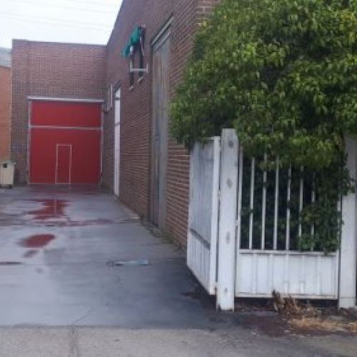 entrada mini